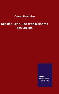 bokomslag Aus den Lehr- und Wanderjahren des Lebens