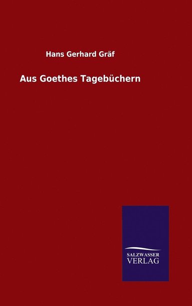 bokomslag Aus Goethes Tagebchern