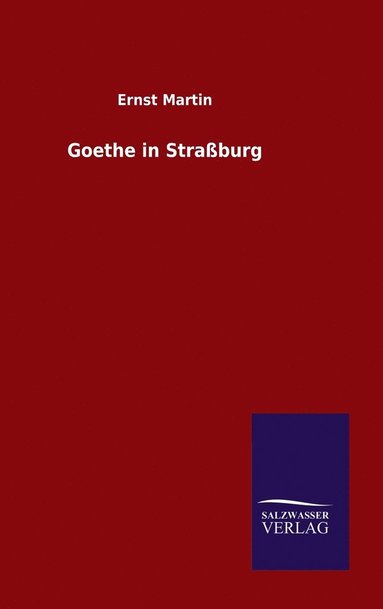 bokomslag Goethe in Straßburg