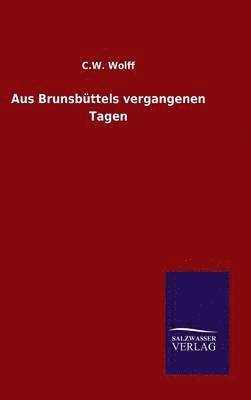 bokomslag Aus Brunsbttels vergangenen Tagen