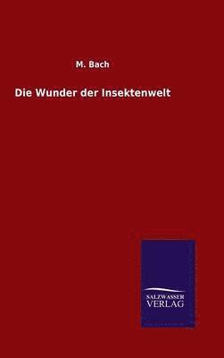 Wunder der Insektenwelt