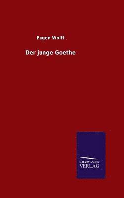 bokomslag Der junge Goethe