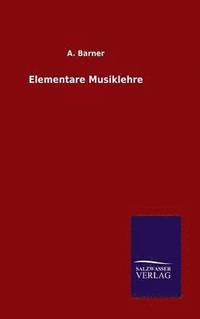 bokomslag Elementare Musiklehre
