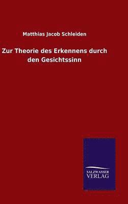 bokomslag Zur Theorie des Erkennens durch den Gesichtssinn