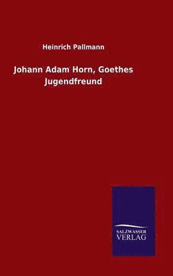 bokomslag Johann Adam Horn, Goethes Jugendfreund