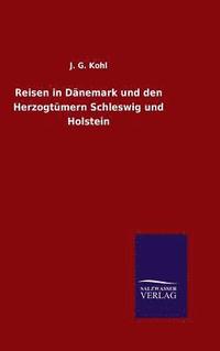 bokomslag Reisen in Dnemark und den Herzogtmern Schleswig und Holstein