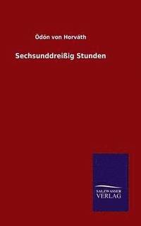 bokomslag Sechsunddreißig Stunden