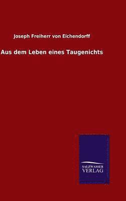 bokomslag Aus dem Leben eines Taugenichts