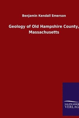 bokomslag Geology of Old Hampshire County, Massachusetts