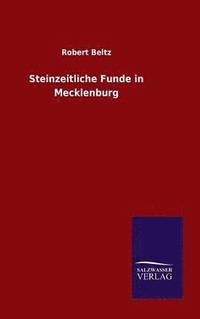 bokomslag Steinzeitliche Funde in Mecklenburg