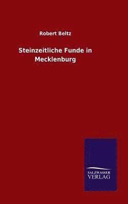 bokomslag Steinzeitliche Funde in Mecklenburg