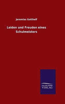 bokomslag Leiden und Freuden eines Schulmeisters