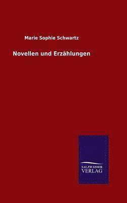 bokomslag Novellen und Erzhlungen