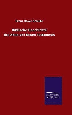 bokomslag Biblische Geschichte