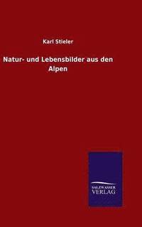 bokomslag Natur- und Lebensbilder aus den Alpen