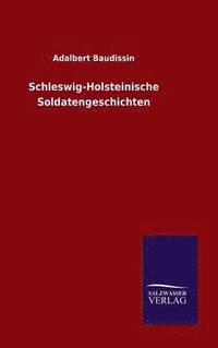 bokomslag Schleswig-Holsteinische Soldatengeschichten