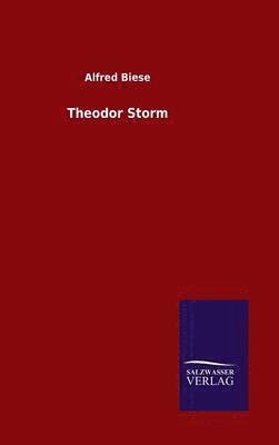 bokomslag Theodor Storm