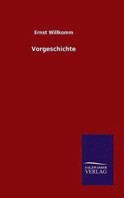 Vorgeschichte 1