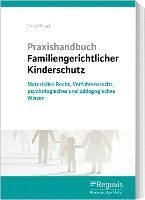 bokomslag Praxishandbuch Familiengerichtlicher Kinderschutz