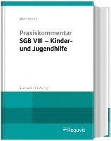 bokomslag Praxiskommentar SGB VIII - Kinder- und Jugendhilfe