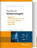 bokomslag Handbuch Schmerzensgeld