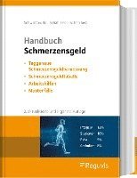 Hans-Peter Schwintowski, Cordula Schah Sedi, Michel Schah Sedi - Handbuch Schmerzensgeld, Inbunden