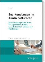 bokomslag Beurkundungen im Kindschaftsrecht