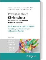 bokomslag Praxishandbuch Kinderschutz für Fachkräfte und insoweit erfahrene Fachkräfte