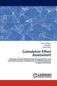 bokomslag Cumulative Effect Assessment
