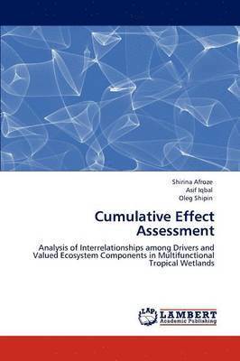 Cumulative Effect Assessment 1