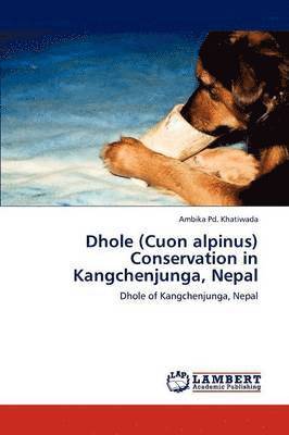 bokomslag Dhole (Cuon alpinus) Conservation in Kangchenjunga, Nepal