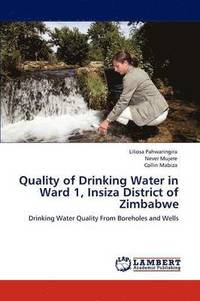 bokomslag Quality of Drinking Water in Ward 1, Insiza District of Zimbabwe