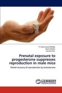 bokomslag Prenatal exposure to progesterone suppresses reproduction in male mice