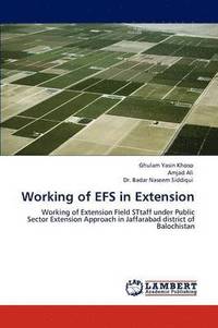 bokomslag Working of Efs in Extension