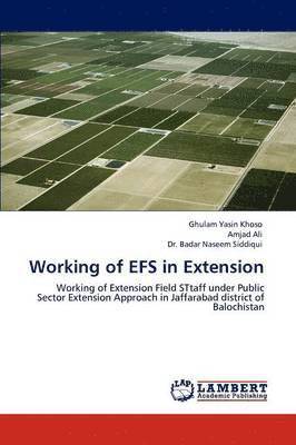 Working of Efs in Extension 1