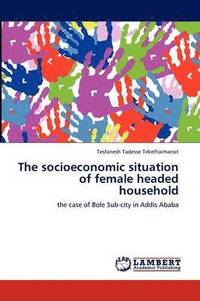 bokomslag The Socioeconomic Situation of Female Headed Household