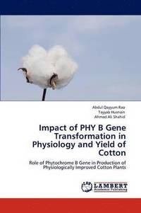 bokomslag Impact of Phy B Gene Transformation in Physiology and Yield of Cotton