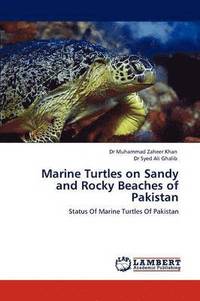 bokomslag Marine Turtles on Sandy and Rocky Beaches of Pakistan