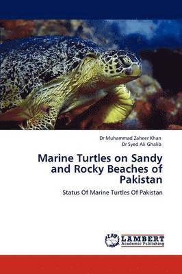 Marine Turtles on Sandy and Rocky Beaches of Pakistan 1