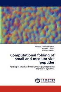 bokomslag Computational folding of small and medium size peptides