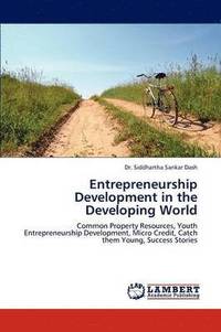 bokomslag Entrepreneurship Development in the Developing World