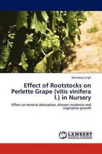 bokomslag Effect of Rootstocks on Perlette Grape (Vitis Vinifera L.) in Nursery