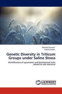 bokomslag Genetic Diversity in Triticum Groups Under Saline Stress