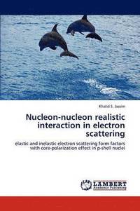 bokomslag Nucleon-Nucleon Realistic Interaction in Electron Scattering