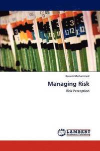 bokomslag Managing Risk