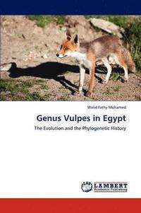 bokomslag Genus Vulpes in Egypt