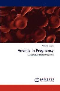 bokomslag Anemia in Pregnancy