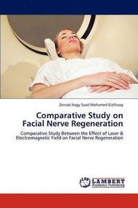 bokomslag Comparative Study on Facial Nerve Regeneration