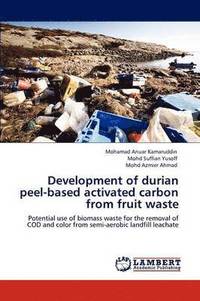 bokomslag Development of durian peel-based activated carbon from fruit waste
