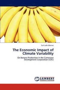 bokomslag The Economic Impact of Climate Variability